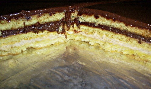 s5032176 s5032176
