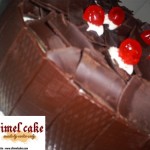 s5032208-copy