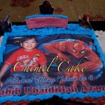 Spiderman Birthday Cake