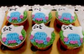 kucing-cupcake