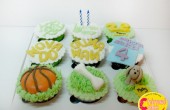 novado-cupcake