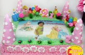 princess-graciela-cake princess-graciela-cake