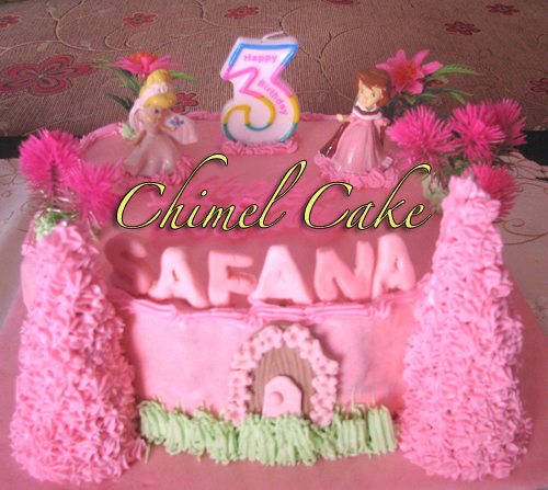 You are currently viewing Princess Birthday Cake’s Safana